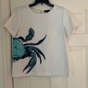 J. Crew Blue and White Boxy Short Sleeve T-Shirt